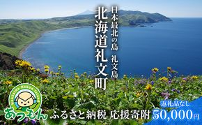【返礼品なし】北海道 礼文町 ふるさと応援寄附金 50,000円コース ［北海道礼文町］【 寄附のみ 応援 支援 礼文島 地域貢献 自然保護 地方創生 まちづくり ふるさと納税 】