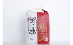新潟米新之助（精米）2kg お米 おこめ こめ 白米 こしひかり 