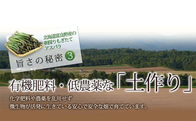 【2026年春発送】ふらの産☆生で食べれる アスパラ【2kg】100本前後 サイズ混合 野菜 アスパラガス 大容量