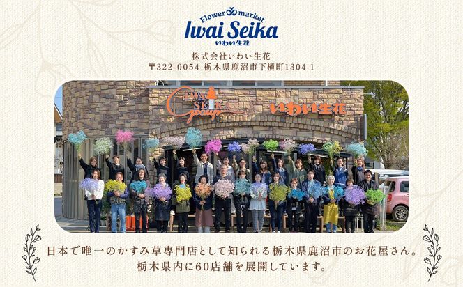 【季節の花束定期便】年4回届くお花の定期便 ※3ヶ月に1回発送