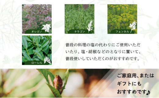 選べる！限定生産！手摘み生ハーブソルト