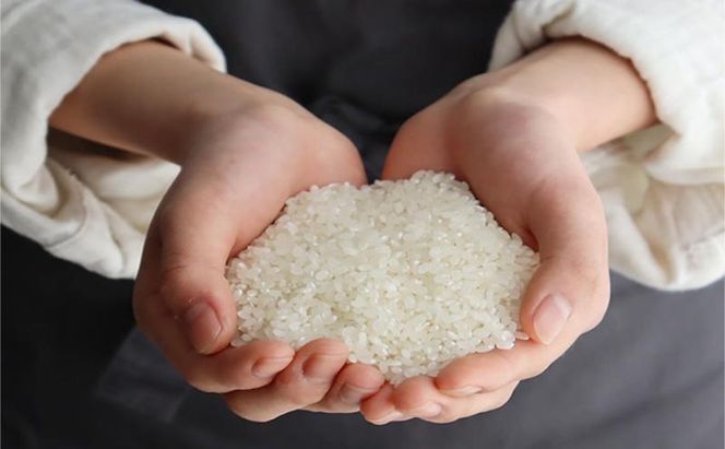 ベストファーマーズ賞受賞 いのちの壱 白米 2kg 無農薬 令和7年産 米 お米 チャック付 チャック 小分け  産地直送 長野