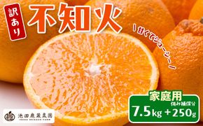 ［先行予約］家庭用 不知火7.5kg+250g（傷み補償分）［デコポンと同品種・人気の春みかん］［わけあり・訳あり］ CZ146