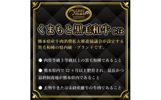 FKK19-935_ 【厳選希少部位】【A4～A5】 くまもと黒毛和牛ミスジステーキ 約300g（100g×3）