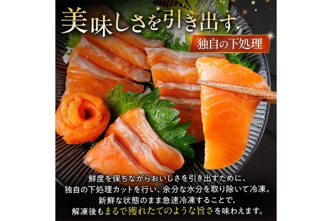 お刺身用 サーモン切り落とし (計1kg) 鮭 小分け 真空 パック 冷凍 刺身 シャケ サケ 魚 魚介 漬け丼 海鮮丼 【丸正水産】【AW-116】