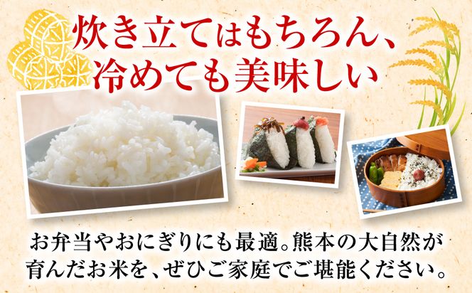 《令和7年産》 くまさんの輝き 精米10kg 熊本県 八代市産 米 お米 精米  国産 白米