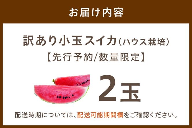 【先行予約／数量限定30】にしまるスイカ 訳あり 2玉入り（ハウス栽培）（2025年6月中旬から発送）　FR00011