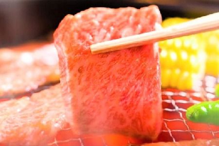 艶さし！【A4～A5】佐賀牛焼肉用 1kg(500g×2P)【肉 牛肉 ブランド牛 黒毛和牛 ふるさと納税】(H112112)