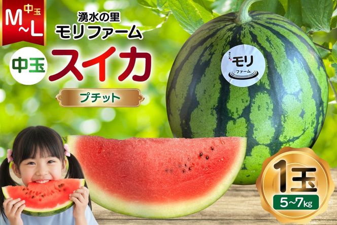 y茧szAJ459 yߘa8Nxoוz N̗ t@[ ʃXCJ v`bg M`L 5`7kg 1 [ s\ ʌ  XCJ Z t[c ʕ  茧 s ]