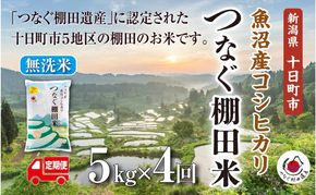【定期便／全4回】無洗米5kg　令和7年産新潟県十日町市魚沼産コシヒカリ「つなぐ棚田米」  米 こしひかり 無洗米 定期 十日町市