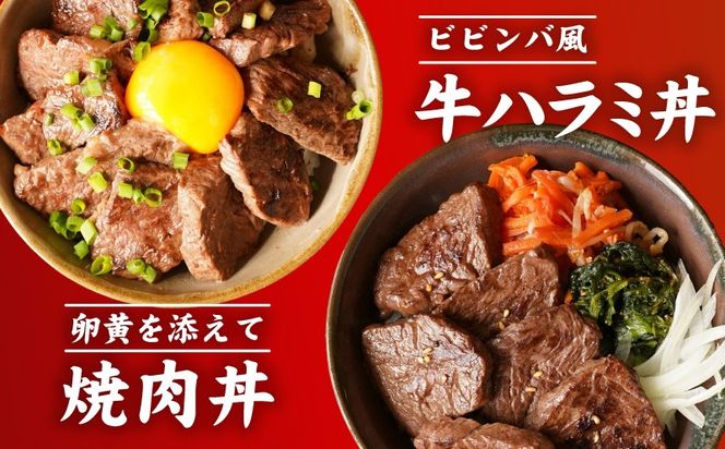 mrz0386 【お試し】牛肉 ハラミ 500g（250g×2P）【氷温熟成×極味付け】