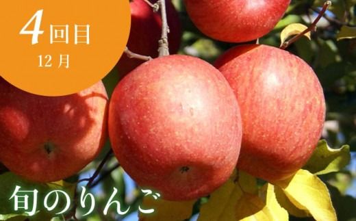 ［年5回定期便］ 小布施町の人気フルーツ定期便 年5回コース ［小布施屋］定期便 頒布会 フルーツ 果物 長野県産 令和7年産 【2025年6月中旬～2026年2月発送】［E-8］