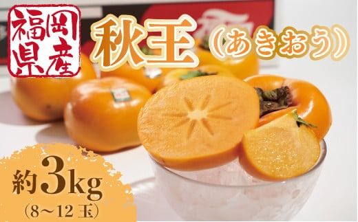柿 秋王 8-12玉 約 3kg 【期間限定発送】 [南国フルーツ 福岡県 宇美町 um40azo970029] 先行予約 福岡県産 あきおう かき フルーツ 果物 くだもの 果実 甘い あまい