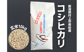 【令和7年産米】新潟県村上市 岩船産コシヒカリ 玄米 10kg×1袋　1100002