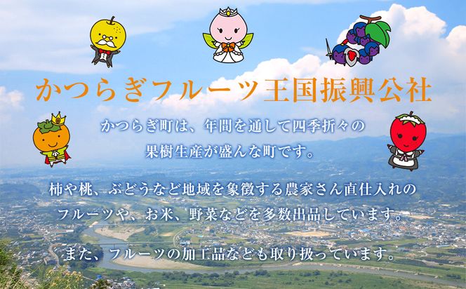 ［2026年発送分・先行予約］訳あり 農家さん直送 低農薬玉ねぎ 4kg程度 S～2L混合［4月中旬～7月中旬頃発送予定］ご家庭用 ※傷有り［KF19］ 303446_BE90024