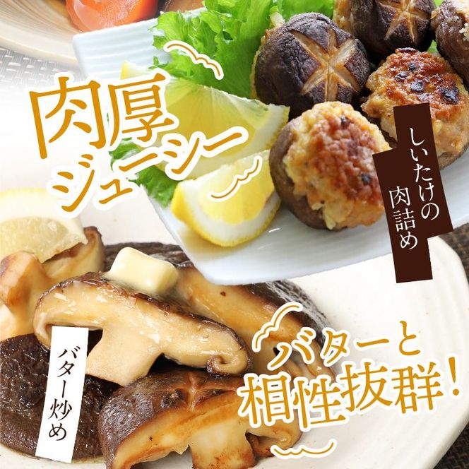 冷凍しいたけ「ねむり姫」1kg N075-YZB032