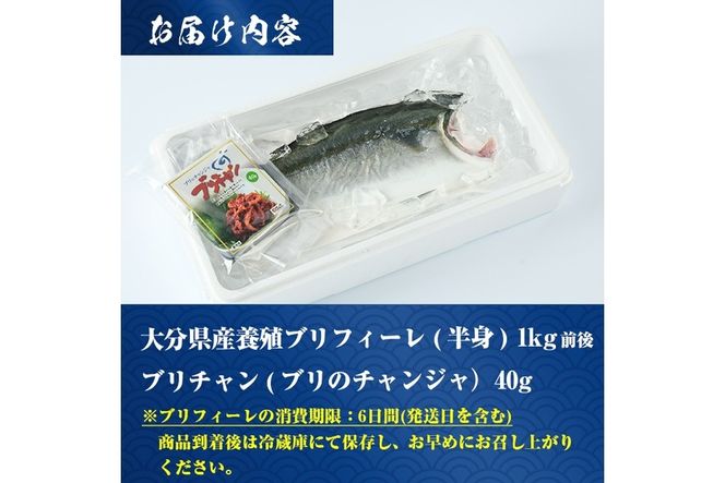 大分県産養殖ブリフィーレ(約1kg前後)とブリチャン（ブリのチャンジャ）お土産用(40g) セット 鰤 ブリ フィレ 国産 刺身 さしみ 魚介 海産物 半身 丼 カルパッチョ ブリしゃぶ たたき おつまみ 大分県産 大分県 佐伯市【EW063】【(株)Up】