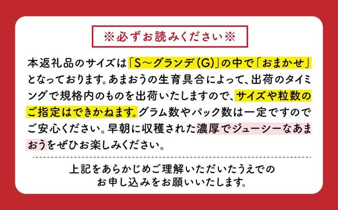 【農家直送！】【先行受付】 糸島産 あまおう 280g × 4パック (Sサイズ～Gサイズ)  【2027年1月上旬以降順次発送】糸島市 / 後藤農園 [AML003] いちご 福岡 ランキング 上位 人気 おすすめ