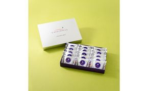 ブラウニー 15個入り カシオペア 笹川流れの塩ブラウニー 限定商品 塩ブラウニー お菓子 菓子 焼き菓子 焼菓子 スイーツ デザート おやつ お土産 土産 個包装 カシオペア紀行 限定 新潟 新潟県 十日町市 十日町すこやかファクトリー