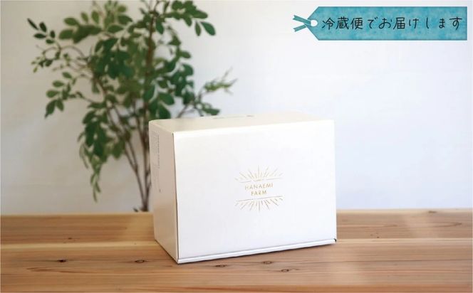 【2026年の先行予約】 岡山　花笑み農園の『ニューピオーネ』500g以上(中1房)　P-中1 / 岡山 真庭 ピオーネ 真庭市 葡萄 果物 フルーツ 濃厚ピオーネ 2026年9月上旬～ 受付順に発送予定 【hana079-01】