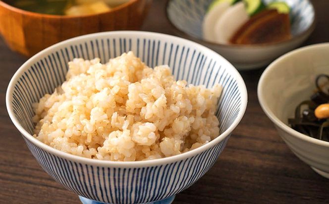 令和7年 きぬむすめ 玄米 5kg 晴れの国 岡山県産 米 お米 コメ おこめ 岡山 赤磐市