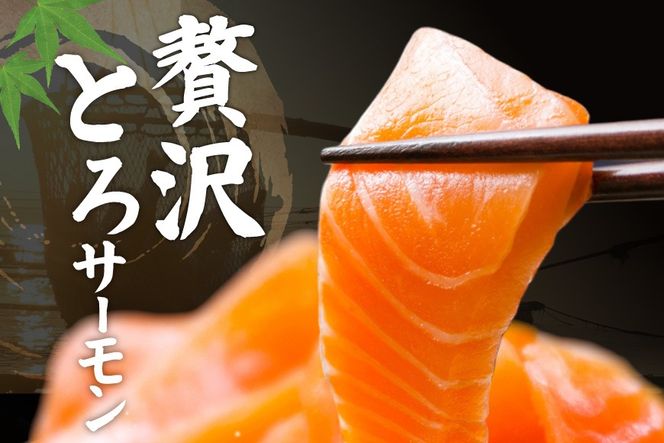 定期便 訳あり とろサーモン 刺身 3パック計600g×12回 総計7.2kg 毎月 12回 定期 [たみこの海パック 宮城県 南三陸町 m304amh560074] サーモン 魚 魚介類 海鮮 さしみ 生食 鮭 さけ トラウト ハラミ トロ 冷凍 小分け