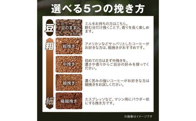 【栽培期間中農薬不使用】自家焙煎コーヒー豆 コロンビア シエラネバダ 500g（250g×2） 約50杯分 小分け　豆・粉 選べる　HA00026