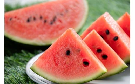 スイカ 中玉 1玉 ３回 定期便 ルナ・ピエナスイカ Wyu-0036