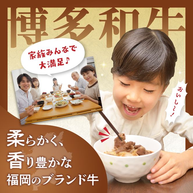 黒毛和牛 (博多和牛) 切り落とし 1.0kg(200g×5パック）【伊豆丸商店】_HA1956