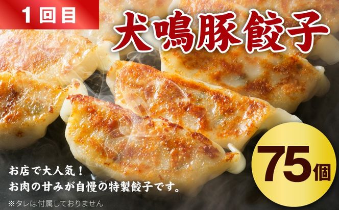 G5390 【泉佐野ブランド豚】犬鳴豚餃子 75個／手作りプレミアムハンバーグ（10個入り） 全2回【国産 豚肉 ぶたにく 定期便 食べ比べ 犬鳴ポーク 焼くだけ 人気 総菜 冷凍】