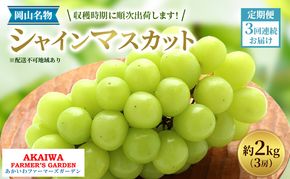ぶどう 2026年 先行予約 定期便 岡山名産 シャインマスカット 3房 (約2.0kg) 3回連続お届け！ 葡萄 岡山県 赤磐市産 フルーツ 果物 あかいわファーマーズガーデン