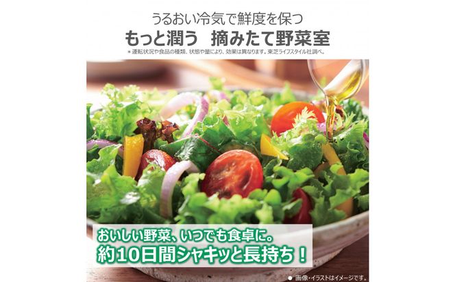 東芝　冷蔵庫【標準設置費込み】　461L　6ドア　両開き　冷凍冷蔵庫　GR-Y460FZ(ZH) 141305_KV70