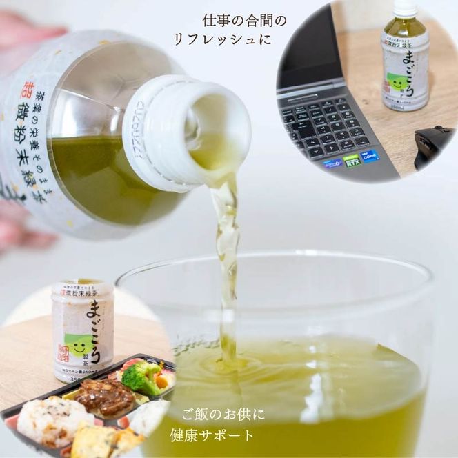まごころ製茶 ペットボトル 350ml 16本 セット お茶 藤枝茶 緑茶 日本茶 飲料 持ち運び 便利 ペットボトル茶 微粉末緑茶 カテキン ご褒美 贈答 プレゼント 静岡県 藤枝市