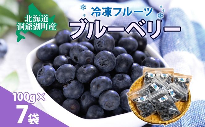 北海道産 ブルーベリー 100g 7袋 果物 果実 くだもの 冷凍食品 おやつ デザート ジュース ヨーグルト ジャム スイーツ 簡単 便利 一人暮らし 小分け 製菓 送料無料 冷凍 北海道 洞爺湖町