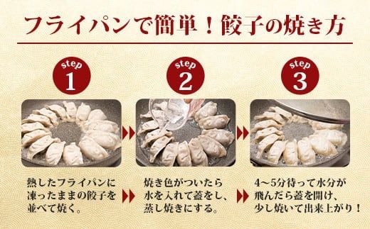 ≪餃子≫ 石垣牛 ぎょうざ 10個【 石垣牛 ぎょうざ 餃子 焼き餃子 水餃子 焼餃子 石垣牛 沖縄県 石垣市 】GS-1