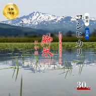 特別栽培米 鰰米 コシヒカリ にかほ 玄米 30kg