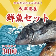 飲食店『食彩太信』店主が選ぶ！大津港地魚鮮魚セット 下処理済み【賞味期限：到着後、冷蔵保存で3日間】【産地直送 新鮮 魚介 平目 ヒラメ 真鯛 鯛 イナダ たら のどぐろ 刺身 魚料理 北茨城市 茨城県】(AA205)