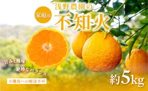 【先行予約】【家庭用】不知火 計5kg ※離島への配送不可（2027年2月中旬頃より順次発送予定）IKTAC029