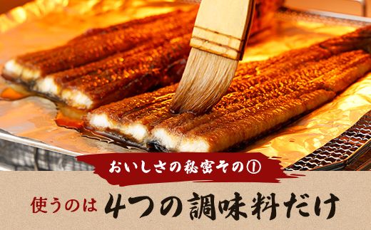 【一度食べたらやみつき！リピート多数 】うなぎ蒲焼２尾セット【D009W】