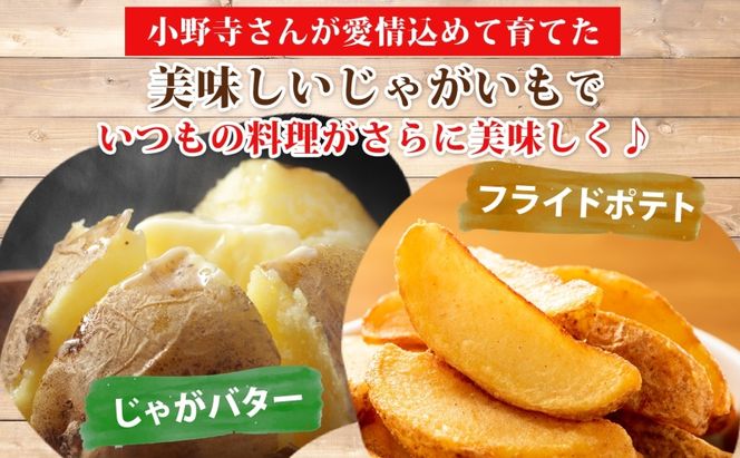 R8年産 先行受付 じゃがいも きたあかり 5kg 2026年9月下旬より順次出荷 栗じゃがいも ホクホク 甘い ポテトサラダ コロッケ 産地直送 お取り寄せ 国産 小野寺農園 北海道 洞爺湖町