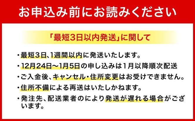 オリオン ザ・プレミアム 500ml×24缶 (6缶パック×4) オリオンビール 缶ビール ビール 500ml 24本 沖縄市 / リカーショップ コザ[BCDD005]