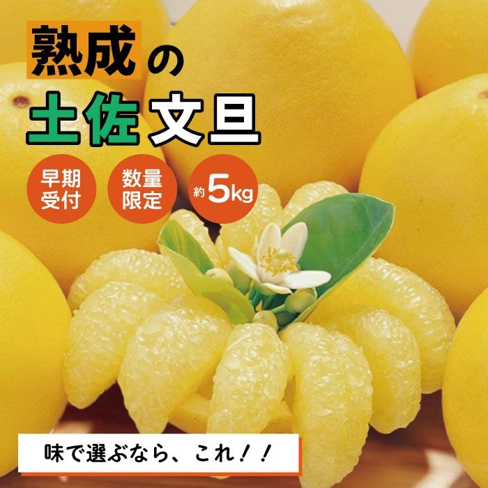 [早期受付・数量限定]熟成の土佐文旦5kg 家庭用 予約 先行受付 大人気 リピーター フルーツ 果物 旬 文旦 ぶんたん ブンタン 土佐文旦 柑橘 オススメ 四万十 しまんと 高知 産地直送 農家直送 [2026年2月下旬より発送]R7-551