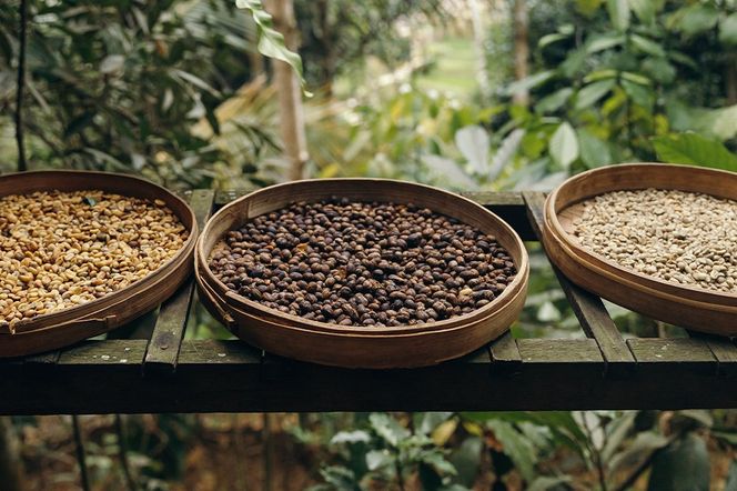 コーヒー インドネシア マンデリン 3袋（計約500g） 宮城県利府町（粉）|06_grc-010101b