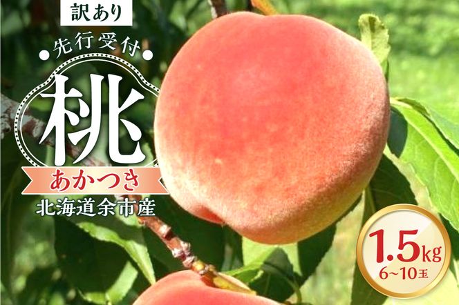 【2026年産 先行予約】＜北海道余市産＞訳アリ 桃「あかつき」1.5kg（6～10玉）_Y103-0060