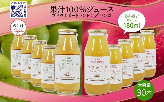 無地熨斗 ポートランド リンゴ ジュース 飲み比べ 180ml 計30本 のし付き 常盤色の瞳 ぶどう 浅黄色の愁 りんご ジュース 果汁 100 ジュース ギフト 葡萄 林檎 自然農園 お取り寄せ ギフト のし 果汁飲料 