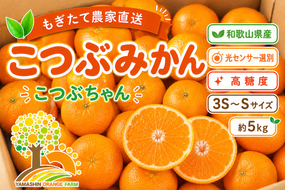 ちっちゃな 有田みかん こつぶみかん 5kg （3S～2Sサイズ混合）| 小粒 光センサー選別 温州みかん みかん 柑橘 果物 くだもの フルーツ