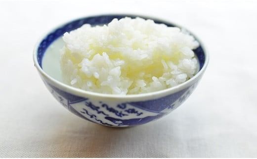 （予約受付）【お米マイスター】究極 喜重ーKIJYUー 定期便（10kg×6回） H056-193