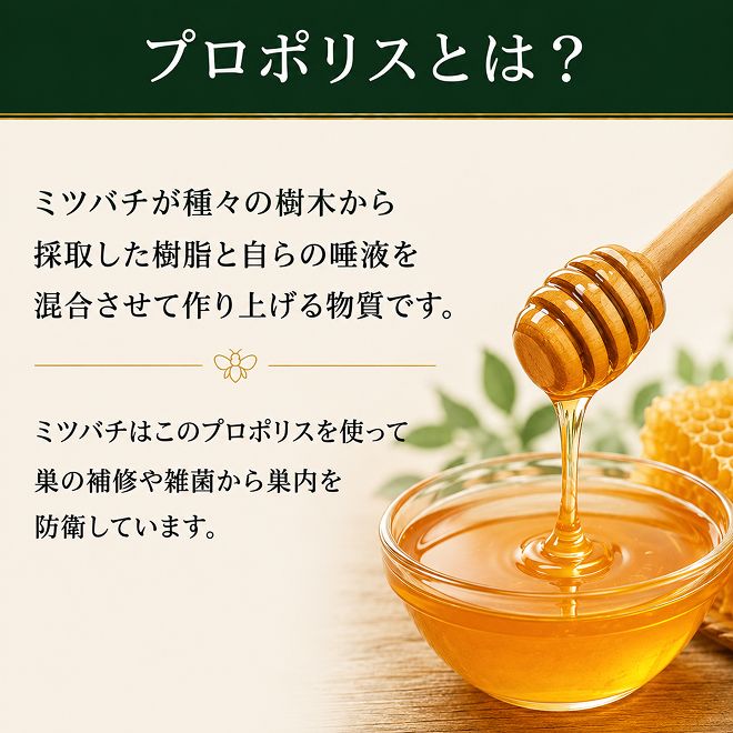 プロポリスドリンクセット 飲料 