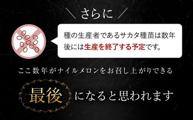 【先行予約】【2027年6月上旬から発送】幻のナイルメロン 全国で10人ほどの農家でしか栽培されていない幻のメロン 約1.5kg×2玉 / メロン ナイルメロン 幻のメロン 甜瓜 青肉 青肉メロン 千葉県 山武市 SMAE001