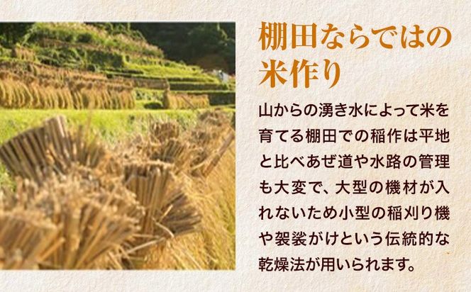 【先行予約】清流と寒暖差が生む村自慢の「棚田米」 5kg 10kg 20kg《2026年11月以降順次出荷》徳島県 佐那河内村 棚田米 米 白米 ---sanagouchi_lcl_136_5kg---